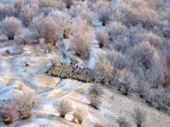 travel.nationalgeographic.com.au Satmari
