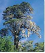 suedafrika-guide.de Satour