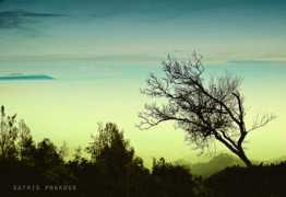 fotoblur.com Satrio