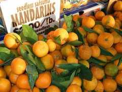 cookhereandnow.com Satsuma