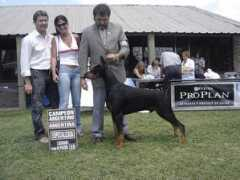 lasarmoniaskennel.com Sattino