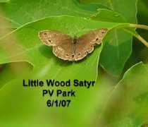 pvpark.org Satyar