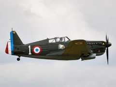 Saulnier