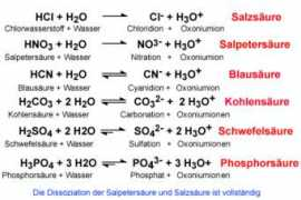 zum.de Sauren