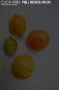 Saures