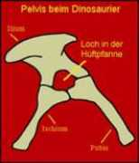 biokurs.de Saurish
