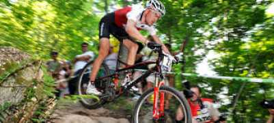 Sauser