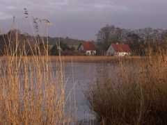 Sauzin