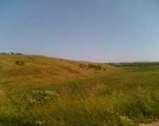 Savala