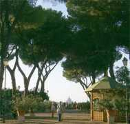 Savello