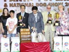 thailanddogshow.com Savitree