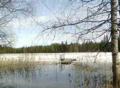 iltalehti.fi Savosta