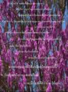 thailandchurch.net Sawadi