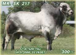 skpattayaranch.com Sawanan