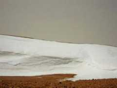 Sawda