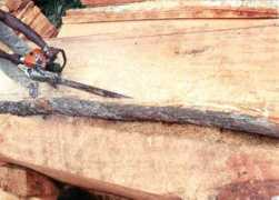 afrc.uamont.edu Sawmills