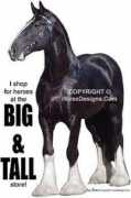 Sbig