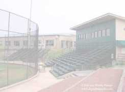 Scaggs