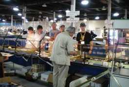 trinityminerals.com Scalisi