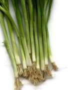 thefreshloaf.com Scallion