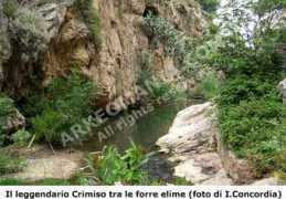 Scamandro