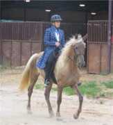 ironwoodfarms.com Scarlotte