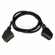 nhpa40.org Scart