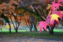 panoramio.com Scatti