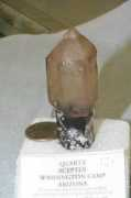 Scept