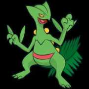 veekun.com Sceptile