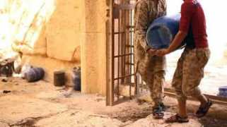 salzburg.com Schamin