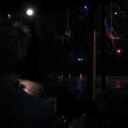 thebangsfamily.com Scharmin