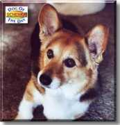 dogoftheday.com Schenka