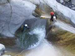 Schenone