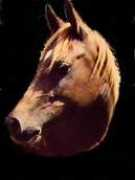 nadjalnurstable.com Scherazad