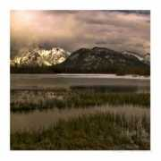 allposters.no Schimidt