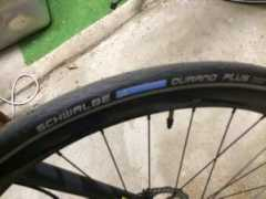 Schwalbe