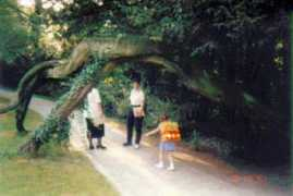 Schwalk