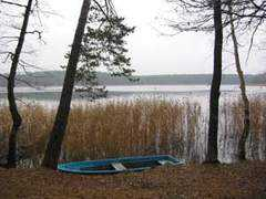 Schwanse