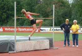 Schwerdtner