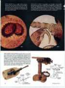 brianjford.com Sciama