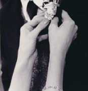 porcelainroses.com Sciandra