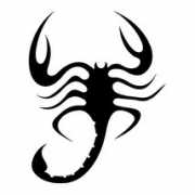 tattoo-ha.at.ua Scorpionn