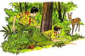 Scouters
