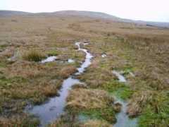 Scrafton
