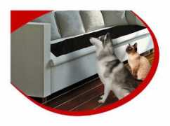 hitecpet.com Scram