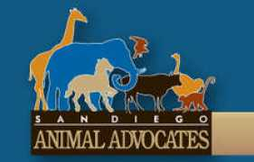 animaladvocates.org Sdaa