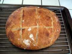 thefreshloaf.com Sdat