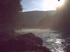 flyfishiowa.com Sdfsf