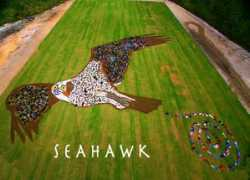 artforthesky.com Seahawk